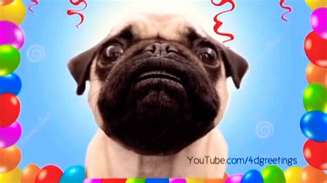 Dog Singing Happy Birthday Gif - Get More Anythink's