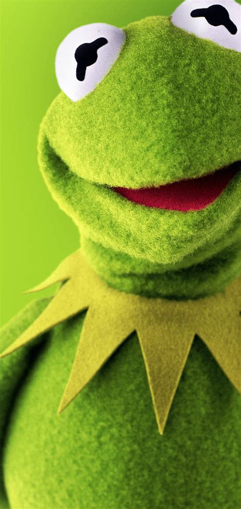 Download Kermit The Frog Smiling Wallpaper | Wallpapers.com