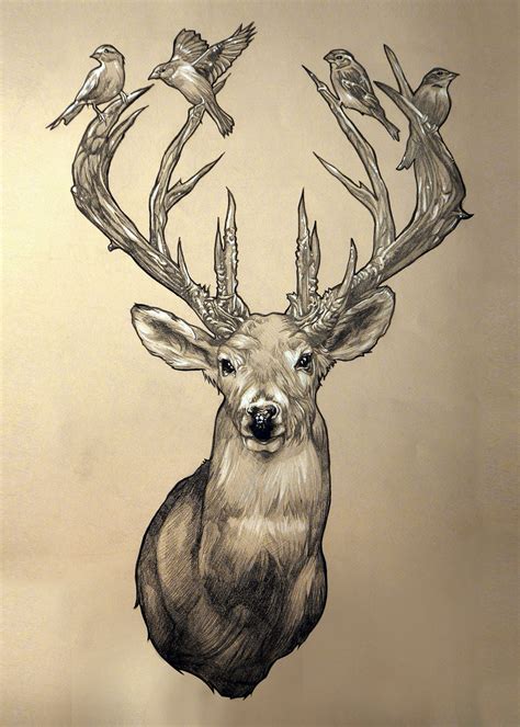 Elk Head Drawing at GetDrawings | Free download