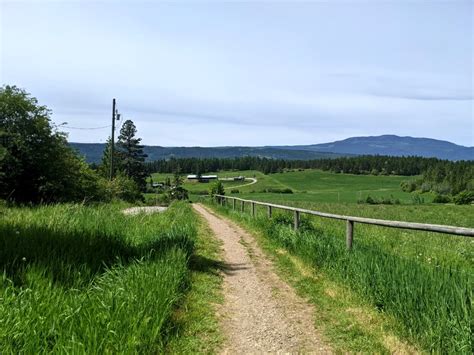 Hiking the Enderby Cliffs Trail: Complete Hiking Guide