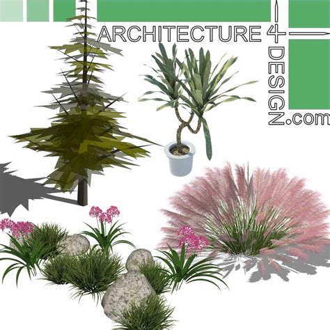 Trees, shrubs and flowering plants Sketchup models, Free download!