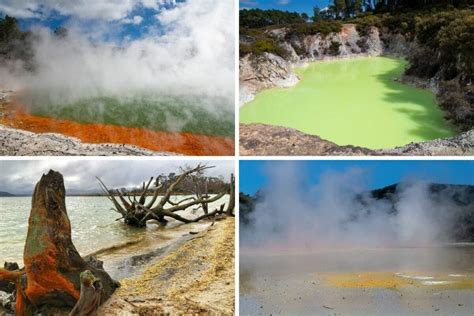 Things to Do at Rotorua, New Zealand – Hello Kids Fun