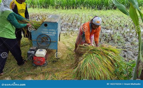 Rice Harvester Machine