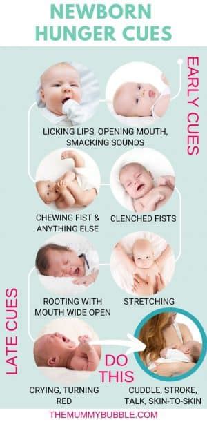 Crucial Tips for Surviving the First 8 Weeks with a Newborn - The Mummy Bubble