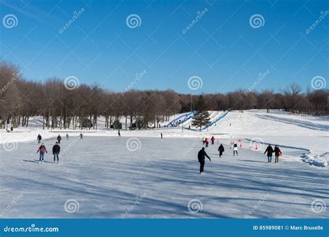 People Skating On Beaver Lake Ice Skating Rink Editorial Photo - Image ...