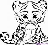 Roar With Delight Cute Baby Tiger Coloring Pages sketch template