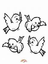 Cute little Birds coloring Page  Coloring Pages Allow Kids To sketch template