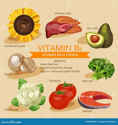 Vitamins and Minerals Foods Illustration. Vector Set of Vitamin Rich ...