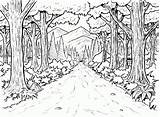 Get In Touch With Nature Printable Forest Coloring Pages sketch template