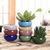 Buy 6pcs Mini White Small Flowerpot Shell Shape Ceramic Succulent Plant Pot Holder Flower Pots ...
