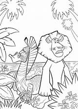 Kids n funcom  Coloring Page Madagascar sketch template