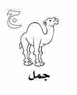 Arabic Alphabet Jeem For Camel Coloring Pages  Best Place To Color sketch template