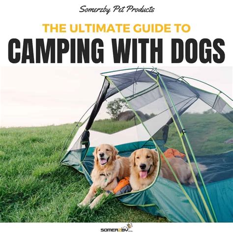 Camping with Dogs - A Guide to Dog Friendly Camping