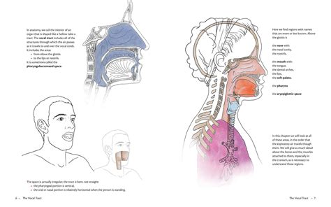 Anatomy of Voice | Book by Blandine Calais-Germain, François Germain | Official Publisher Page ...