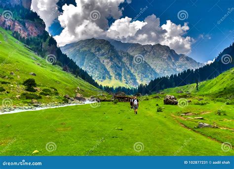 Trekking through Kashmir Valley Editorial Photo - Image of nature, kashmir: 102877231