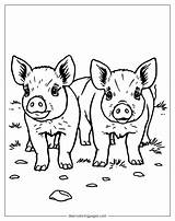 Dibujos Para Colorear De Cerdo  17 Diseños Gratuitos sketch template