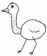 Emu Coloring Page sketch template