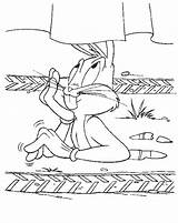 Bugs Bunny Coloring Page  Free Printable Pages sketch template