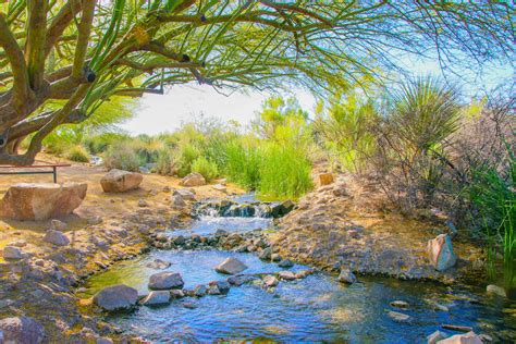 The Riparian Preserve At Water Ranch