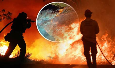 California fires in pictures: Photos reveal US wildfire horror | World ...