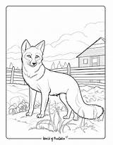 Fox Coloring Pages For Kids & Adults  World Of Printables sketch template