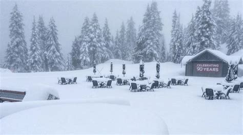 Winter just won't quit: Grouse Mountain sees 25 cm of snowfall today | News