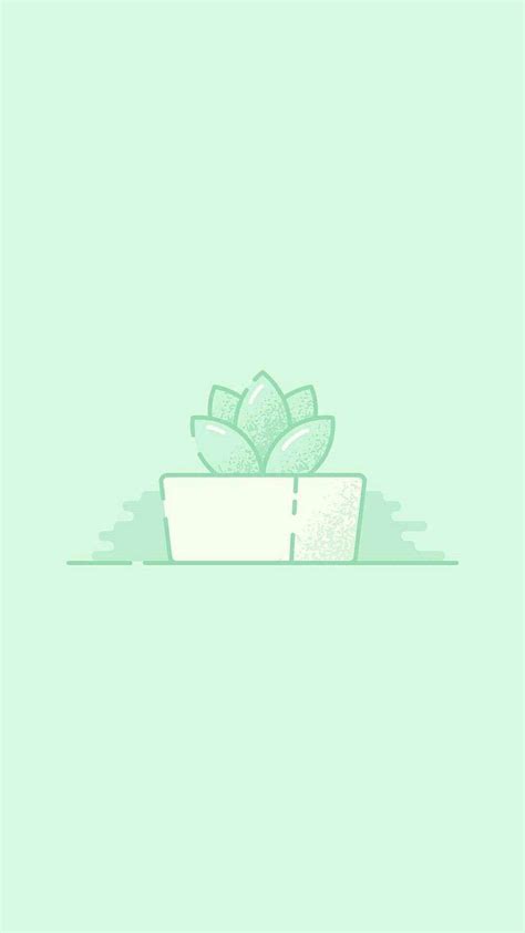 Download Light Green Aesthetic Succulent Wallpaper | Wallpapers.com