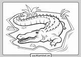 Crocodile Coloring Pages For Kids sketch template
