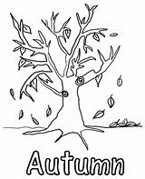 Fall Tree Coloring Page For Kids sketch template