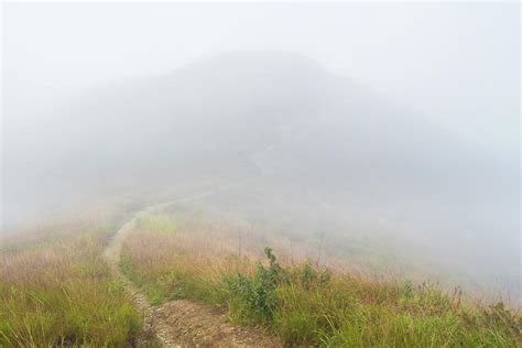 Foggy Mountain Road Photograph by Rafael Garrido | Fine Art America