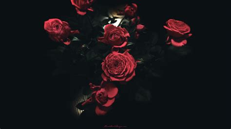 Emo Roses Wallpapers - Top Free Emo Roses Backgrounds - WallpaperAccess