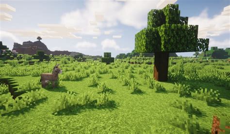 Chocapic13's Shaders 1.21.1 → 1.20 - Minecraft Shader