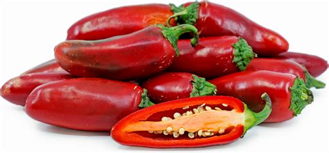 Red Jalapeno Chile Peppers Information, Recipes and Facts