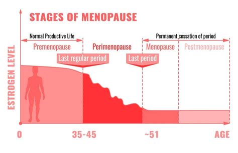 Stages of Menopause Infographic - General Practitioners Ringwood | Warrandyte Road Clinic