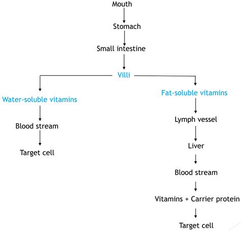 Revisiting food-sourced vitamins for consumer diet and health needs: a perspective review, from ...