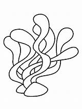 Coloring Seaweed Pages Clipart Template Outline Sea Printable Coral  sketch template