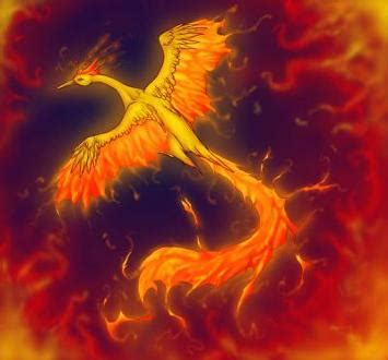 Moltres - Never Play With Fire - Moltres Fan Art (36644772) - Fanpop