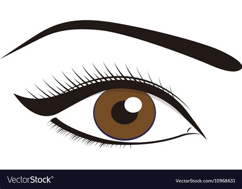 Beautiful brown eyes Royalty Free Vector Image