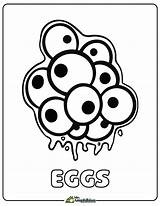 Frog Eggs Coloring Pages sketch template