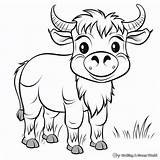 Buffalo Coloring Pages  Free & Printable sketch template