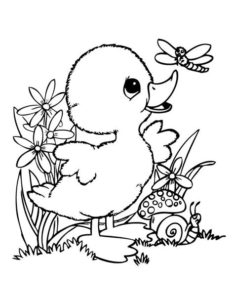 Baby Duck And Friends Coloring Page | Cute coloring pages, Animal coloring pages, Bird coloring ...