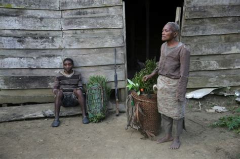 Pygmies, masters of the forest, tackle tough lifestyle changes