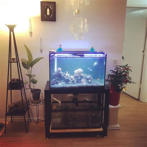 The best fish tank filter to date, the water is cleaner and better, and this whole thing took an ...