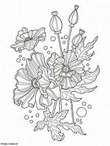 Adult Poppy coloring Page sketch template