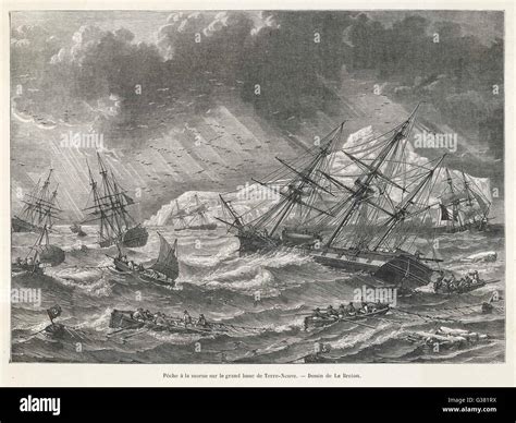 Cod fishing on the Grand Banks, Newfoundland. Date: 1870 Stock Photo ...