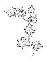 Ivy coloring pages  Free Coloring Pages sketch template