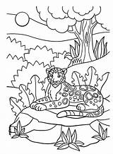 Jaguar Resting In The Jungle Coloring Page  Free Printable Pages sketch template