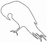 Ravens Coloring Pages  Free Printable For Kids sketch template