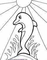 Dolphin Coloring Sheets Free Printable  Templates sketch template