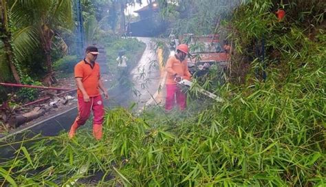 NUSABALI.com - Pohon Tumbang dan Banjir Dominasi Bencana Alam